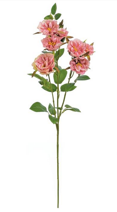 30" Cabbage Rose Spray
