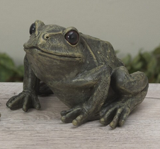 9" Garden Frog