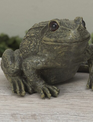 9" Garden Frog
