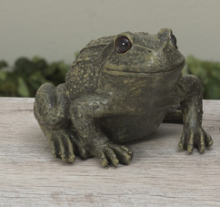 9" Garden Frog
