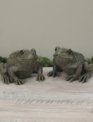 9" Garden Frog