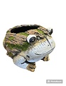 Moss Critter Planter (3-Styles)