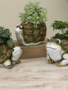 Moss Critter Planter (3-Styles)