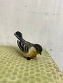 4'' Resin Bird