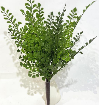 13" Maidenhair Bush