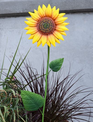 Metal Sunflower Stake