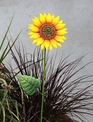 Metal Sunflower Stake