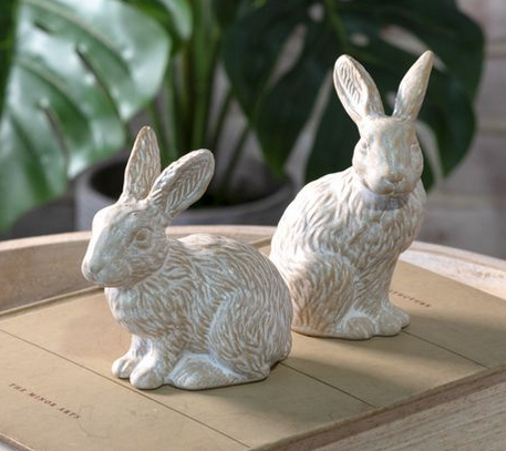 Mini Long Eared Bunny