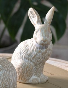 Mini Long Eared Bunny