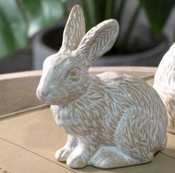 Mini Long Eared Bunny