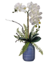 White Phalaenopsis in Striped Container (2-Sizes)