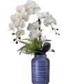 White Phalaenopsis in Striped Container (2-Sizes)