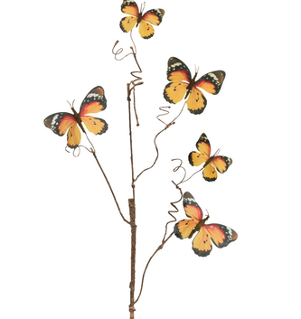 Monarch Butterfly Stem