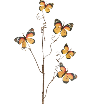 Monarch Butterfly Stem