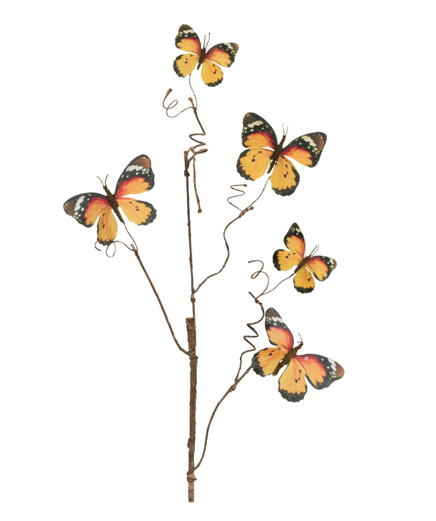 Monarch Butterfly Stem