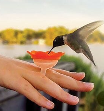 Hummingbird Ring Feeder Set