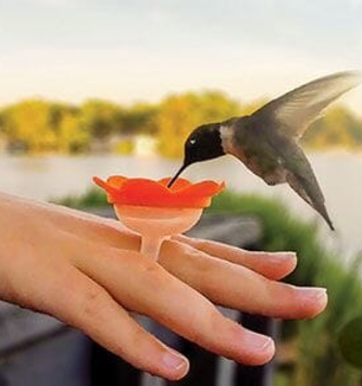 Hummingbird Ring Feeder Set