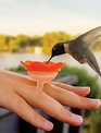 Hummingbird Ring Feeder Set
