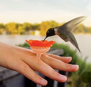 Hummingbird Ring Feeder