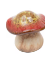 Ceramic Enchanted Mushroom