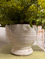 Custom Mixed Fern in White Distressed Container