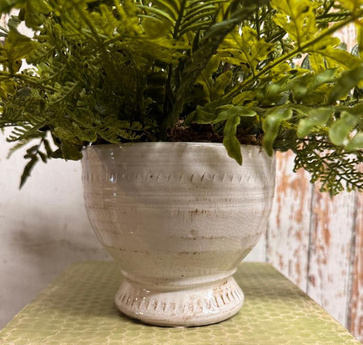 Custom Mixed Fern in White Distressed Container