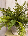 Custom Mixed Fern in White Distressed Container