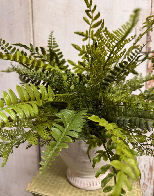 Custom Mixed Fern in White Distressed Container