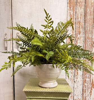 Custom Mixed Fern in White Distressed Container
