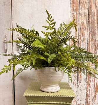 Custom Mixed Fern in White Distressed Container