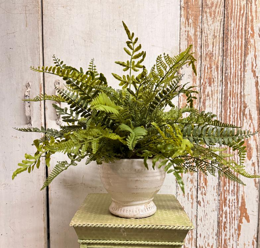 Custom Mixed Fern in White Distressed Container