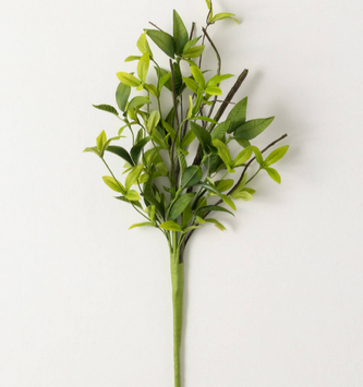 9" Ruscus Twig Pick