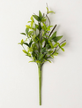 9" Ruscus Twig Pick