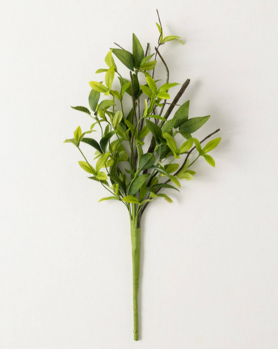 9" Ruscus Twig Pick