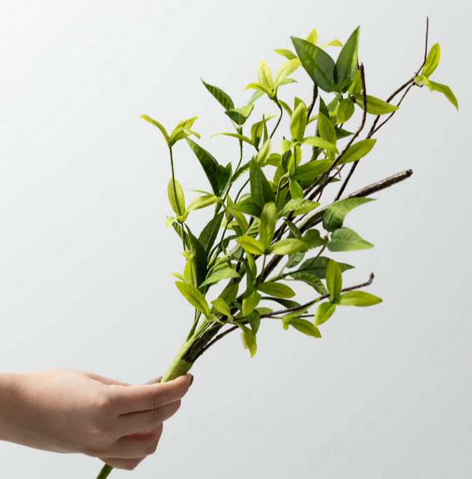 9" Ruscus Twig Pick