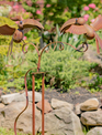 Rustic Double Toucan Balancer