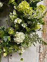 Custom Elegant Hops & Hydrangea Wreath