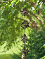 Hanging Honeybee Rain Chain