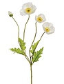 Natural Poppy Spray (4-Colors)