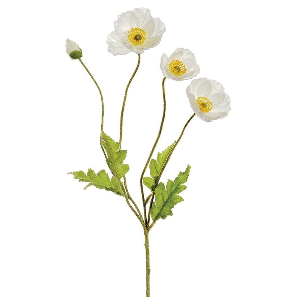 Natural Poppy Spray (4-Colors)