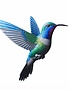 Hues of Blue Hanging Hummingbird