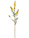 Astilbe Garden Spray