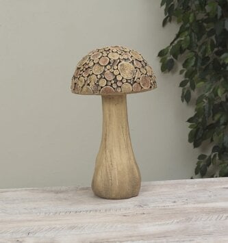 Natures Bounty Mushroom (2-Sizes)