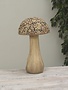 Natures Bounty Mushroom (2-Sizes)