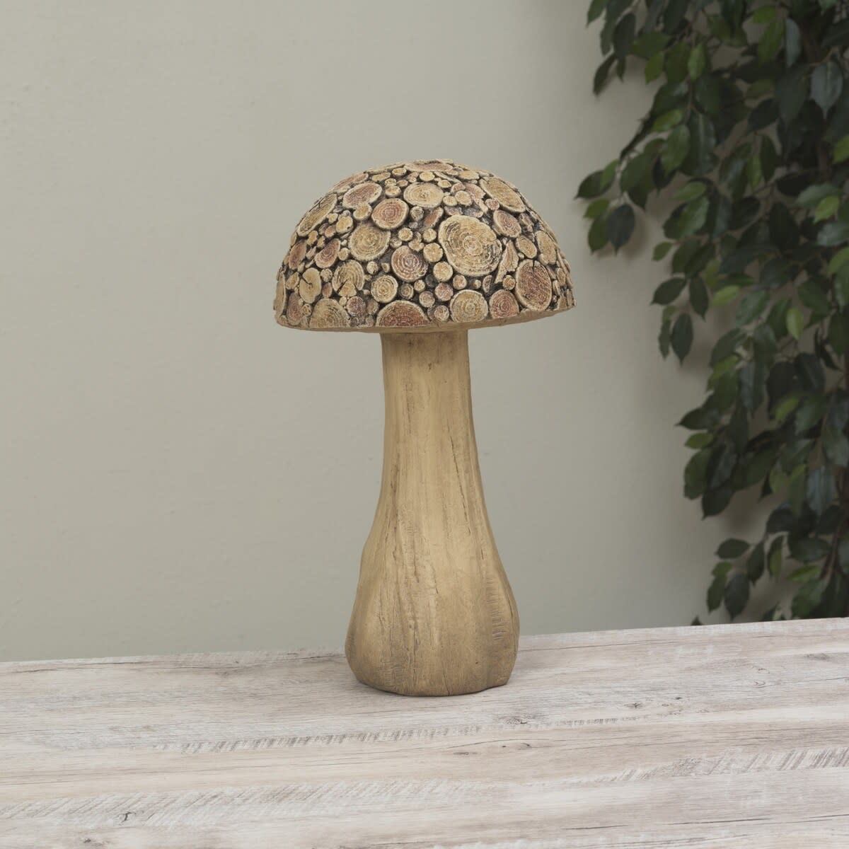 Natures Bounty Mushroom (2-Sizes)