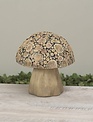 Natures Bounty Mushroom (2-Sizes)