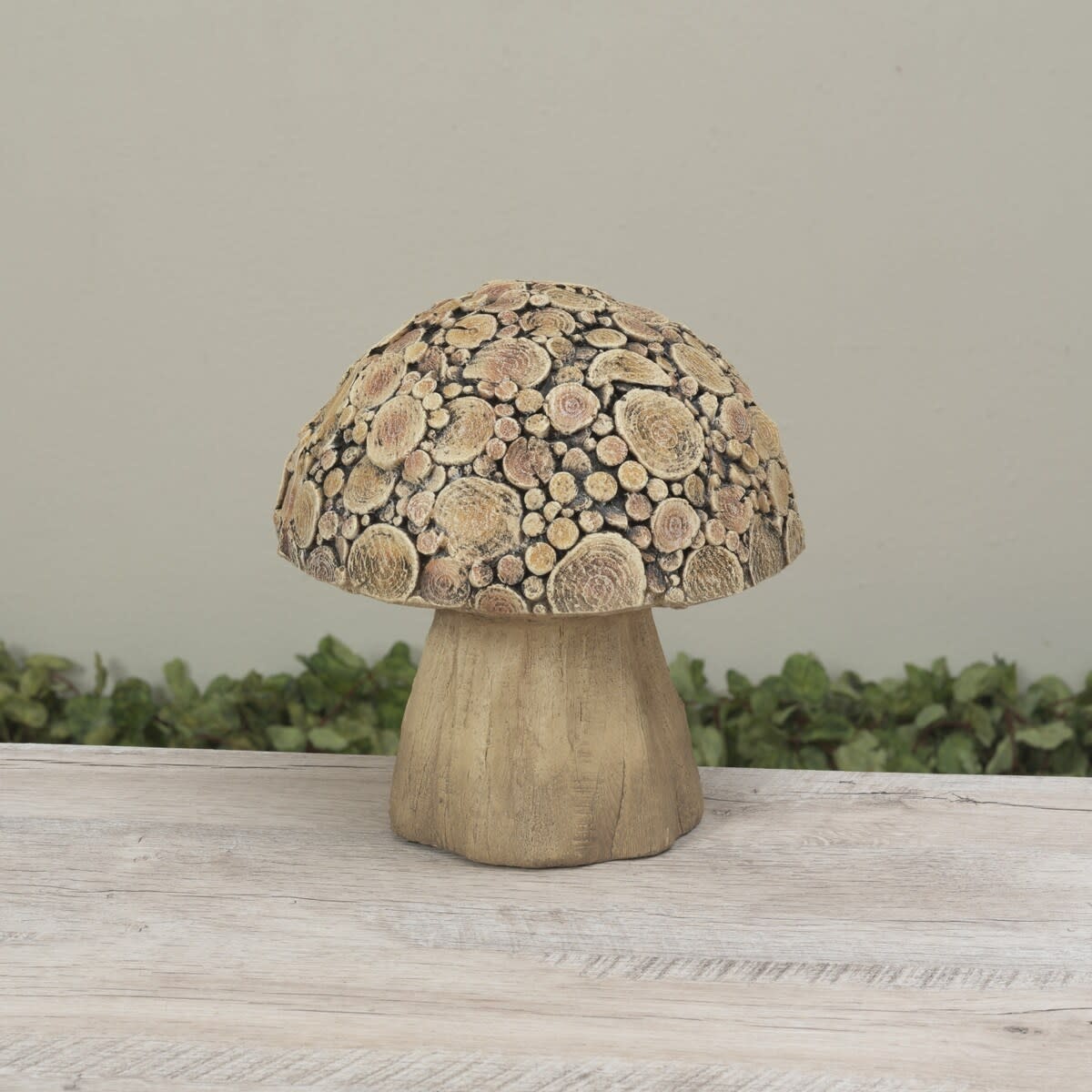 Natures Bounty Mushroom (2-Sizes)