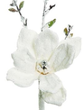 Snowy Japanese Magnolia Pick