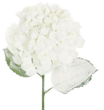 Frosted Hydrangea Spray