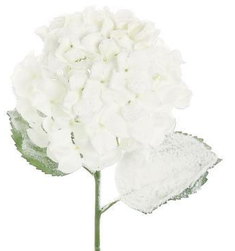 Frosted Hydrangea Spray